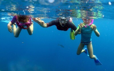 Voyageurs en snorkeling dans les eaux claires de Catalina