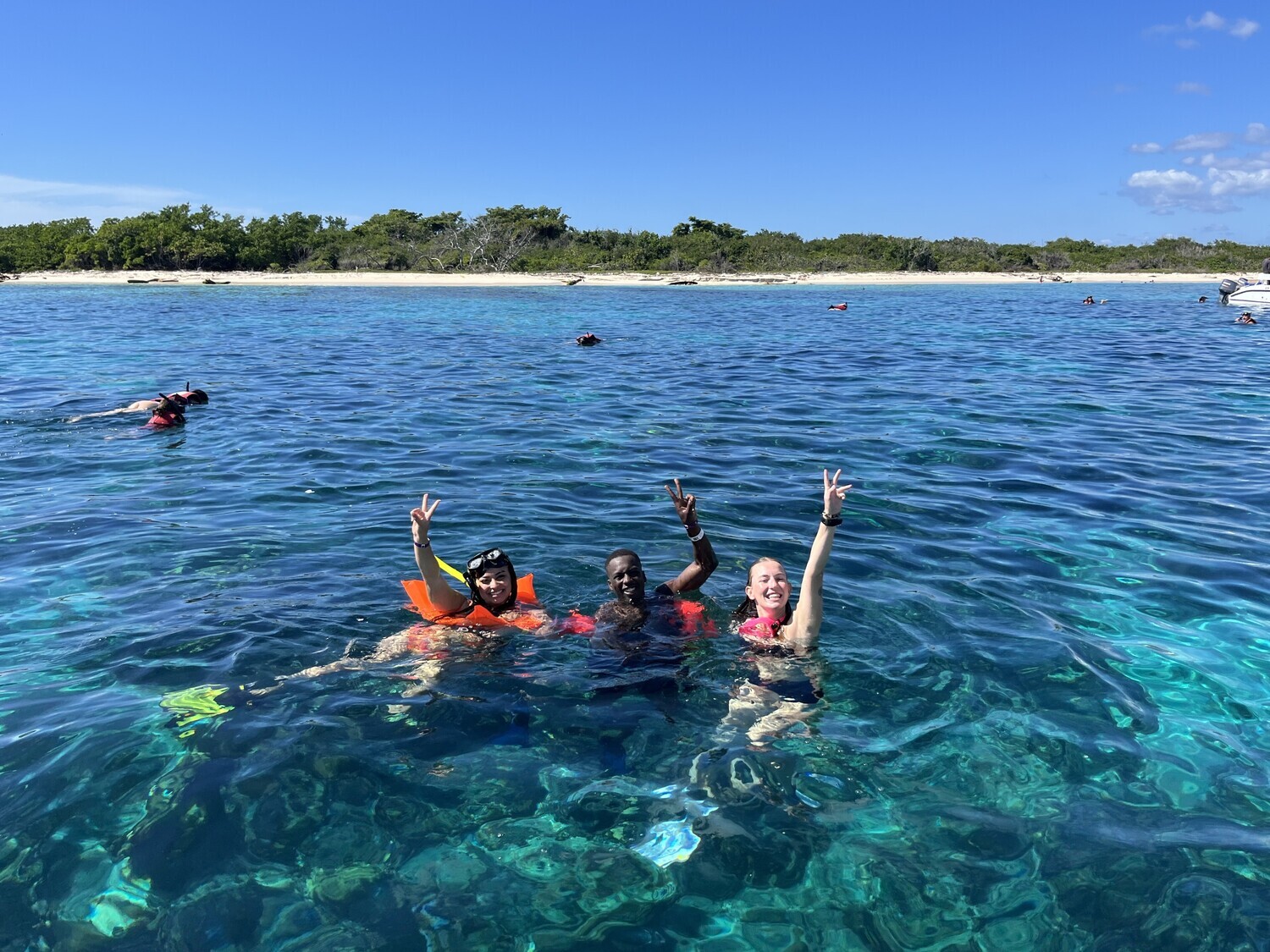 Small group snorkeling on the reefs of Catalina