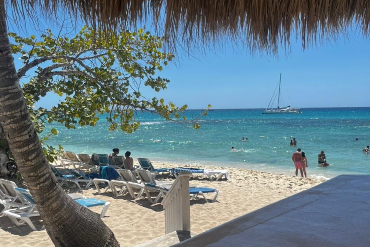 Catalina beach with loungers under the palm trees