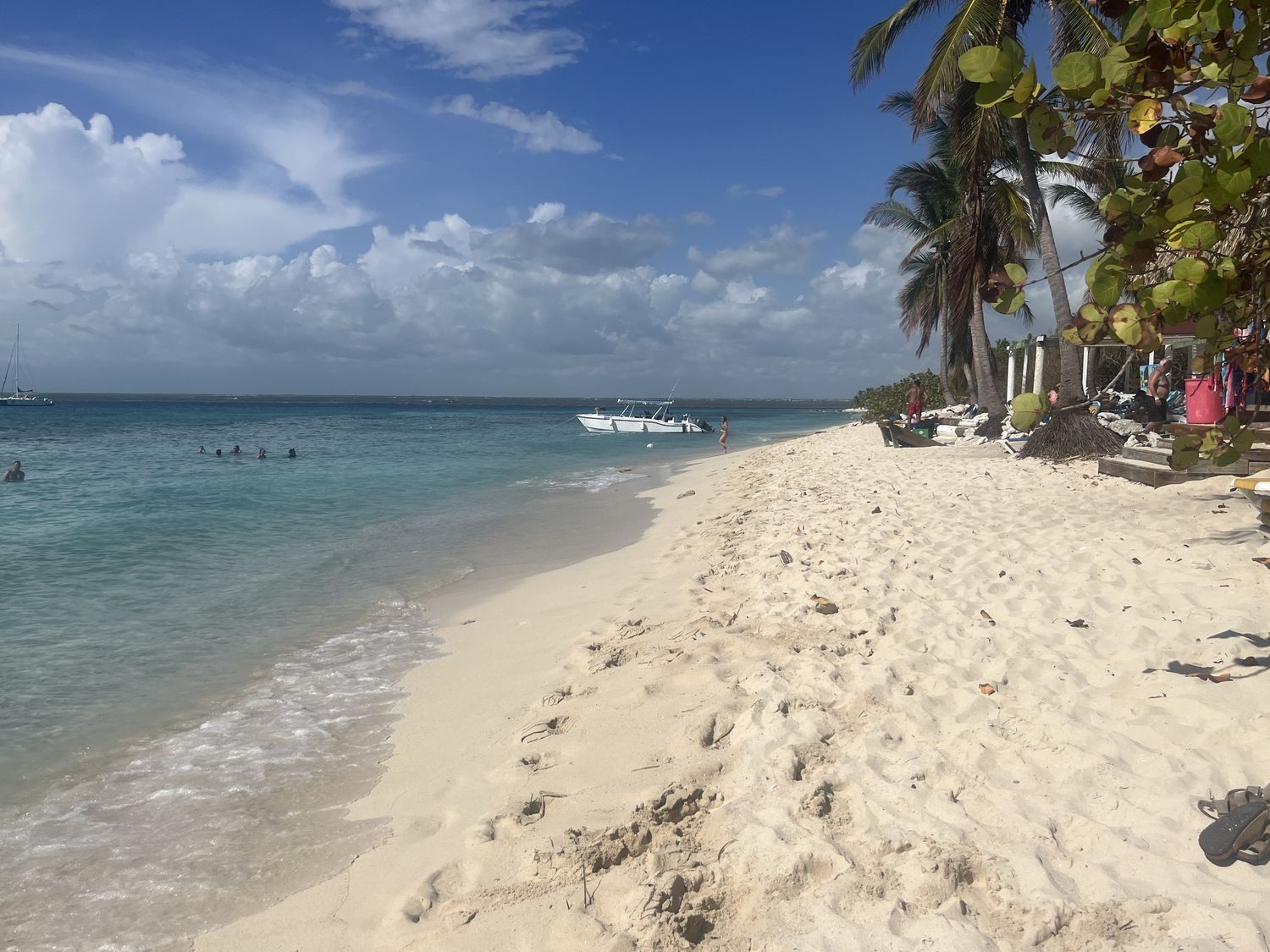 White sand beach with coconut trees at Catalina