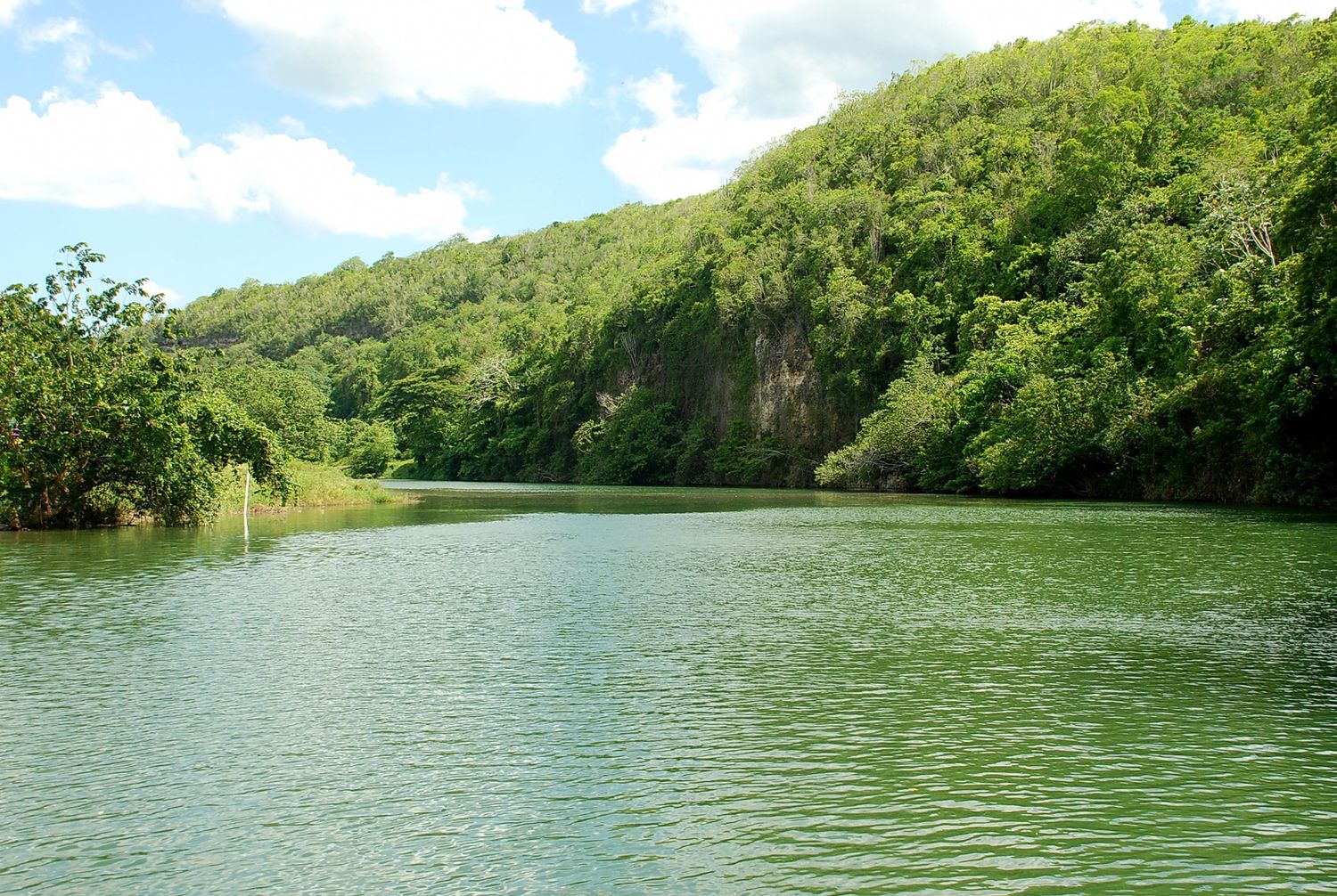 Chavón River surrounded by tropical vegetation