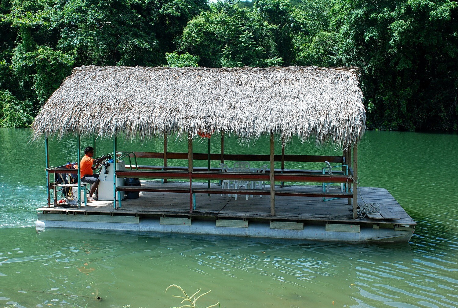 Typical barge with thatched roof sailing on the Chavón River