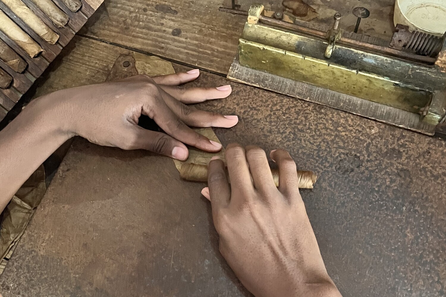 Handmade cigar rolling during the Adventure Safari