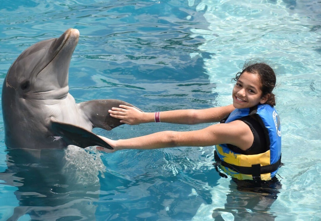 Swim with dolphins in Punta Cana