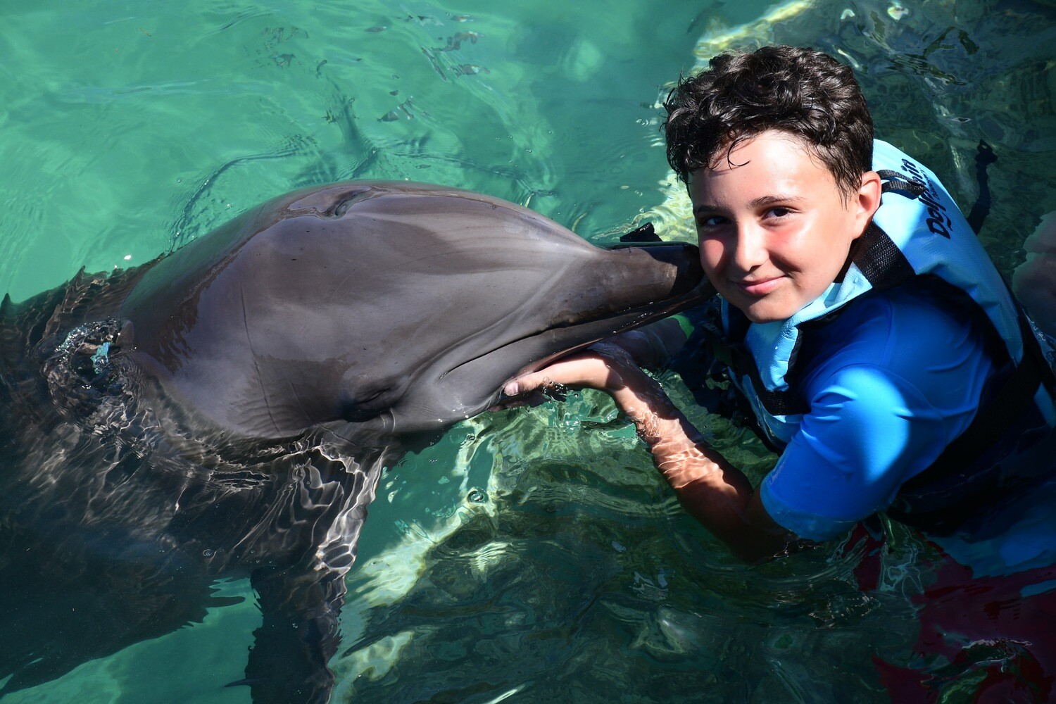 Swim with Dolphins — Departure from Bayahibe / Dominicus