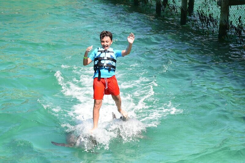 Swim with Dolphins from Bayahibe