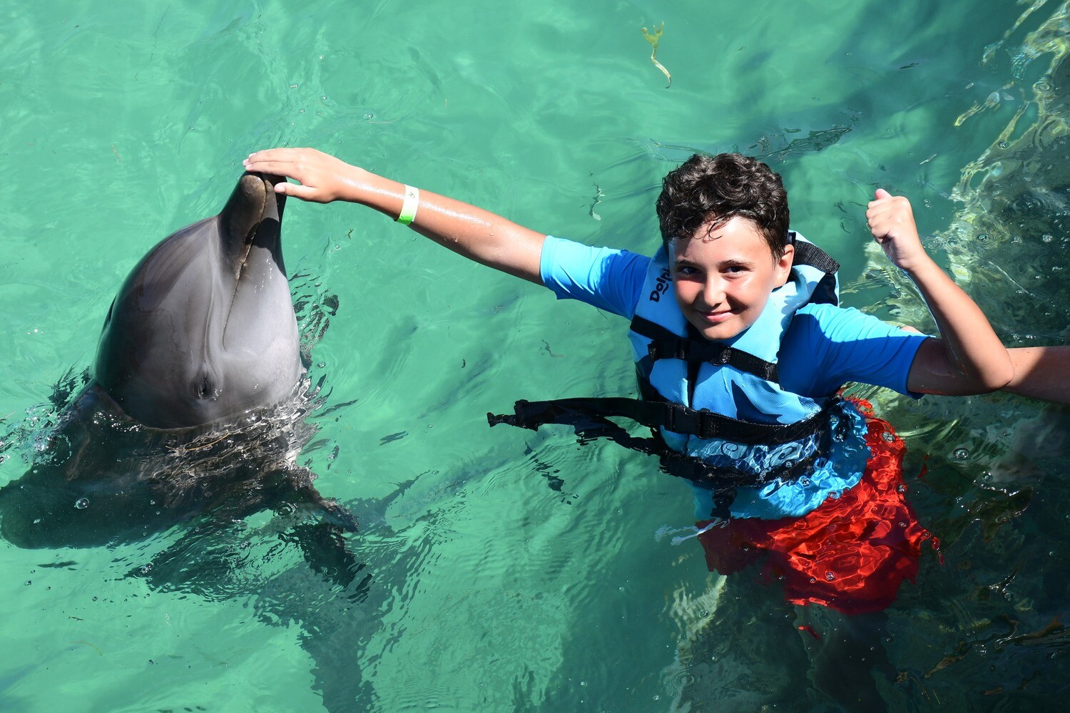 Swim with Dolphins — Departure from Bayahibe / Dominicus