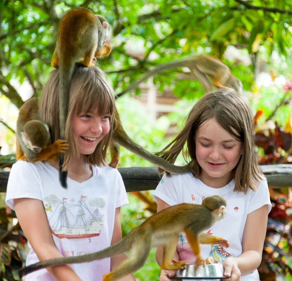 Monkeyland: The squirrel monkey park