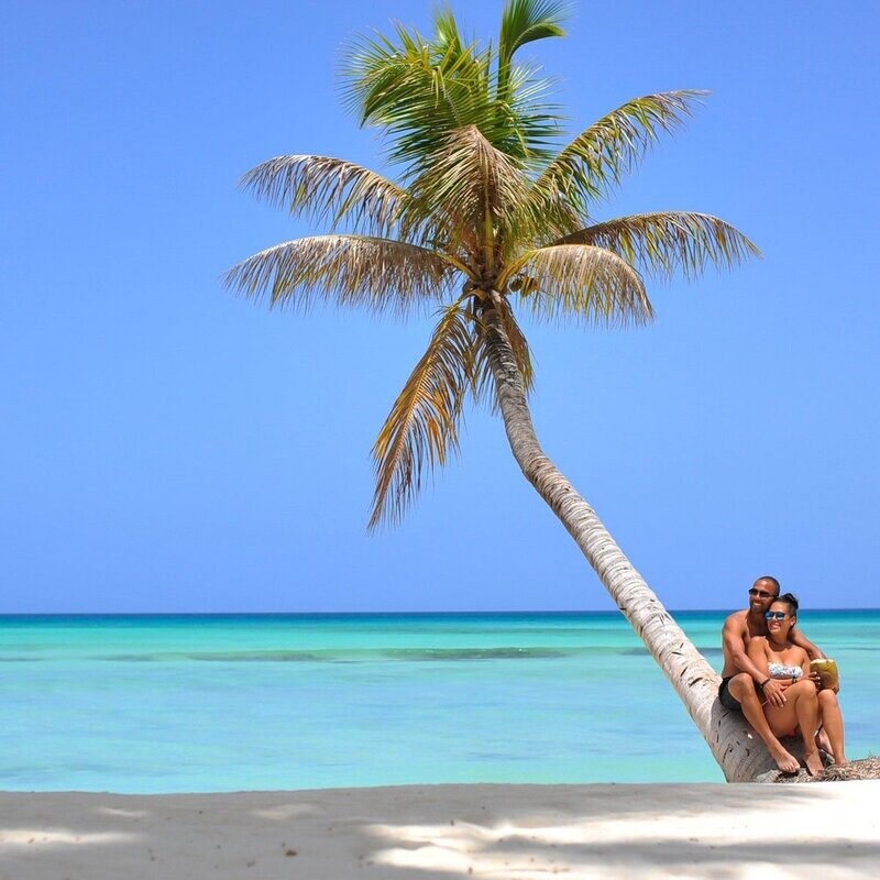 Saona Classic on catamaran and speed boat