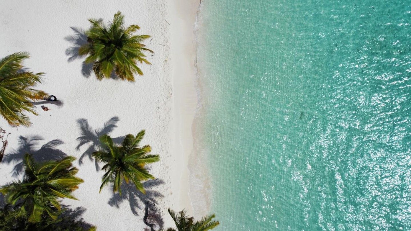 Costa au port de La Romana: Île de Saona