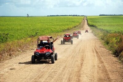 Au départ du port de La Romana: Excursion Buggy