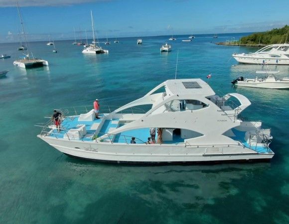 excursion privé à Saona en bateau rapide