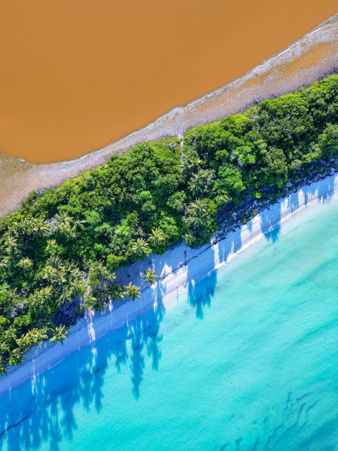 Private excursion to Catalina island