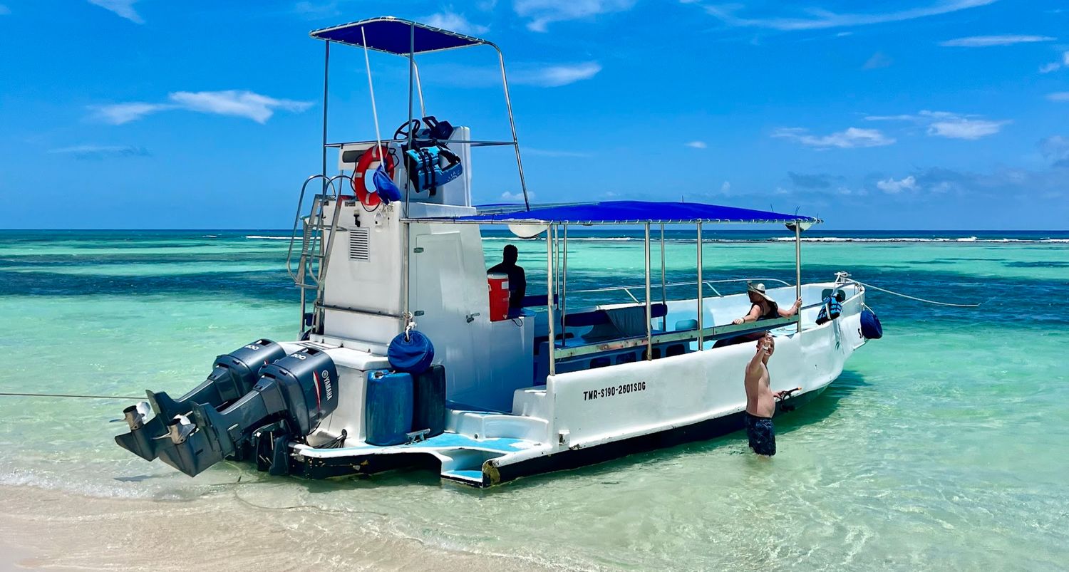 Private excursion to Saona Island