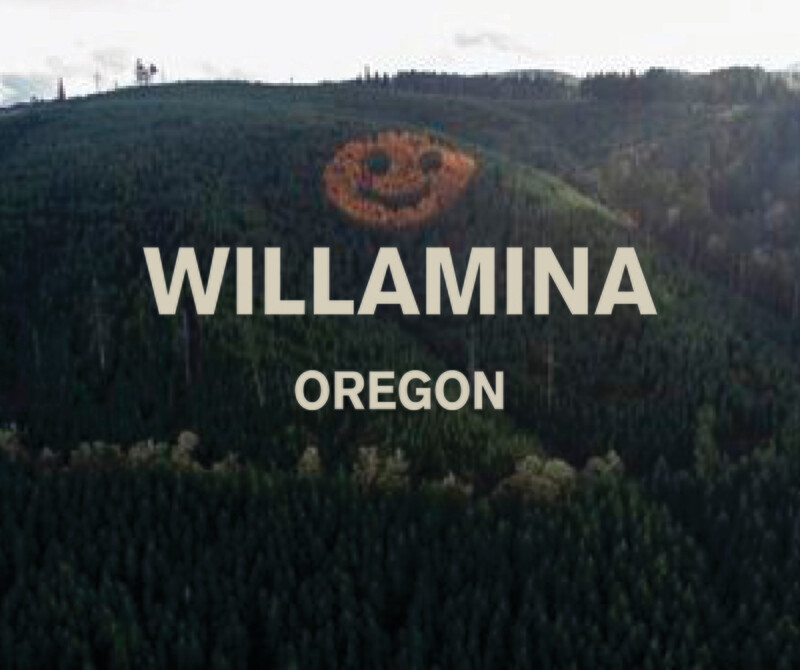 Willamina Plant