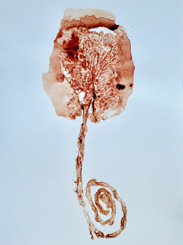 PLACENTA PRINT
