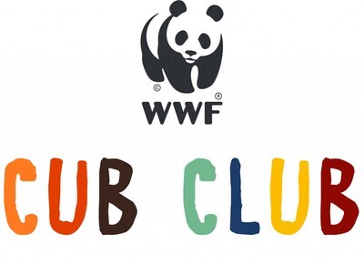 WWF Bon Ton Plush Cub Club Zebra Grabber with Rattle – 15 cm – 6″