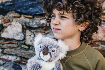 WWF Koala – 15 cm – 6″