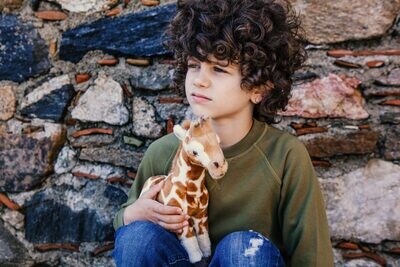 WWF Giraffe 31cms Plush Toy