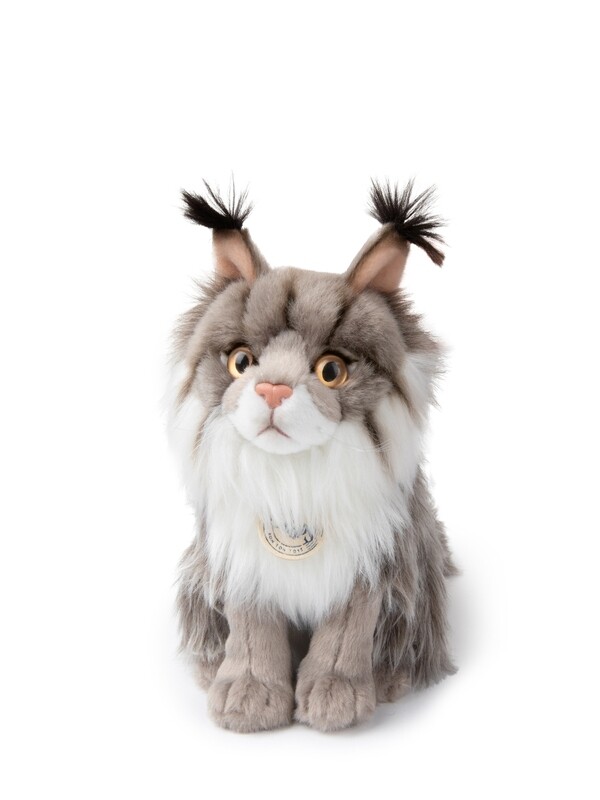 Nancy the Norwegian Forest Cat