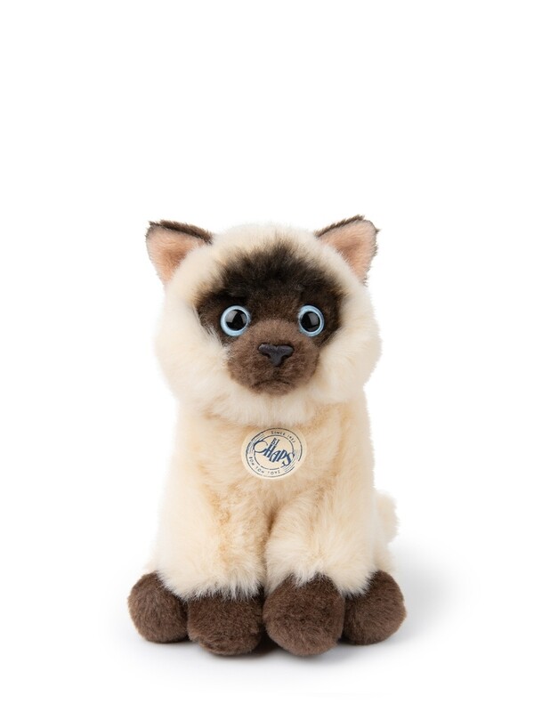 Eddie the Siamese in Gift Box