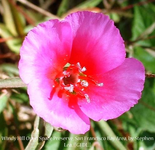 Farewell To Spring 00066