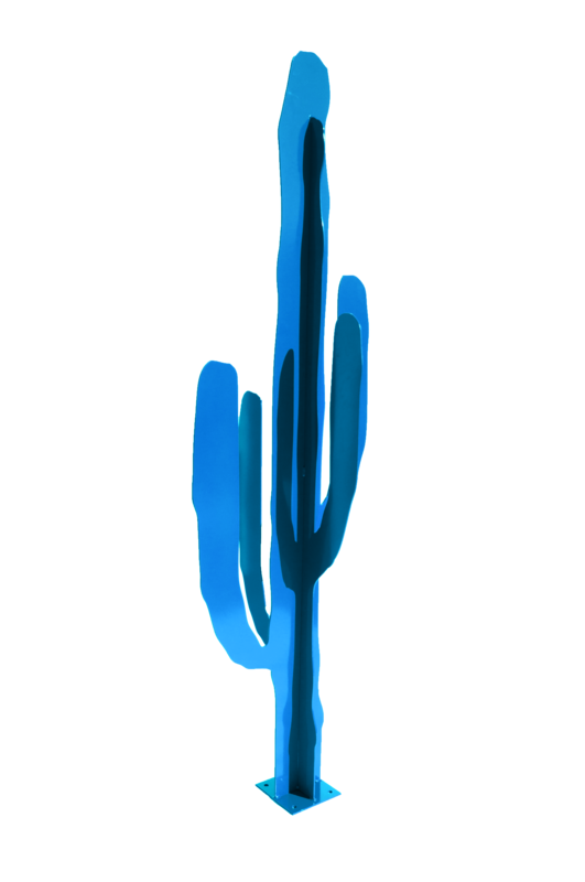 CACTUS EUPHORBIA Bleu