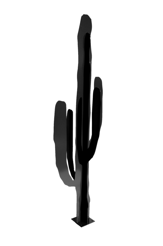 CACTUS EUPHORBIA Noir