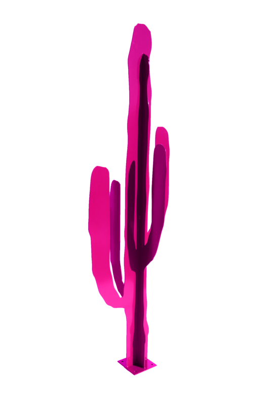 CACTUS EUPHORBIA Fushia