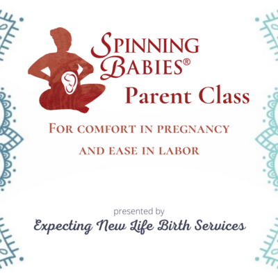 Spinning Babies® Parent Class (Group Setting)
