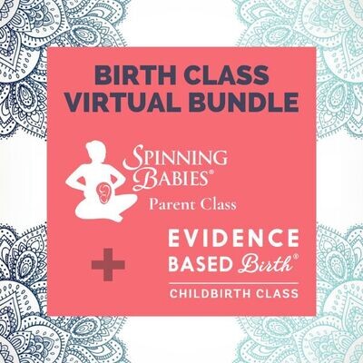 Virtual Birth Class Bundle Virtual Birth Class Bundle