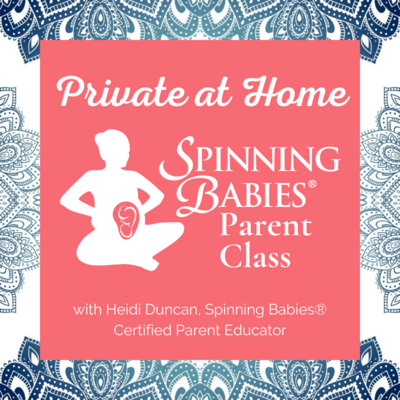 Spinning Babies® Parent Class (Private In-home Session)