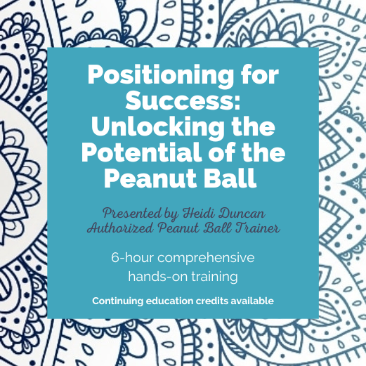 Positioning for Success: Unlocking the Potential of the Peanut Ball - 2025