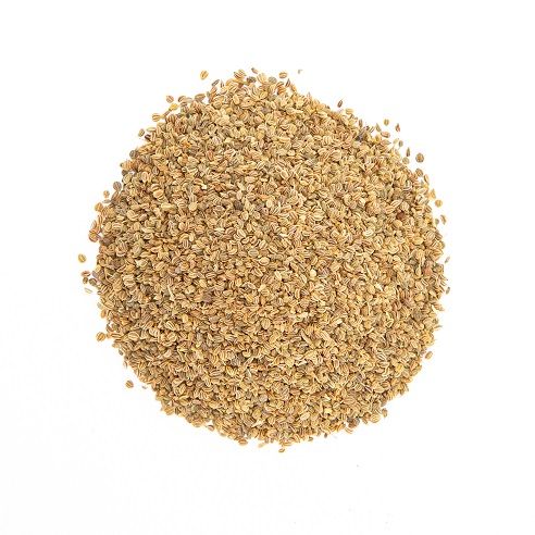Celery Seed - Lg Bag (4 oz)