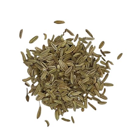 Fennel Seed Organic - 1/2 cup Shaker Jar (1.6oz)