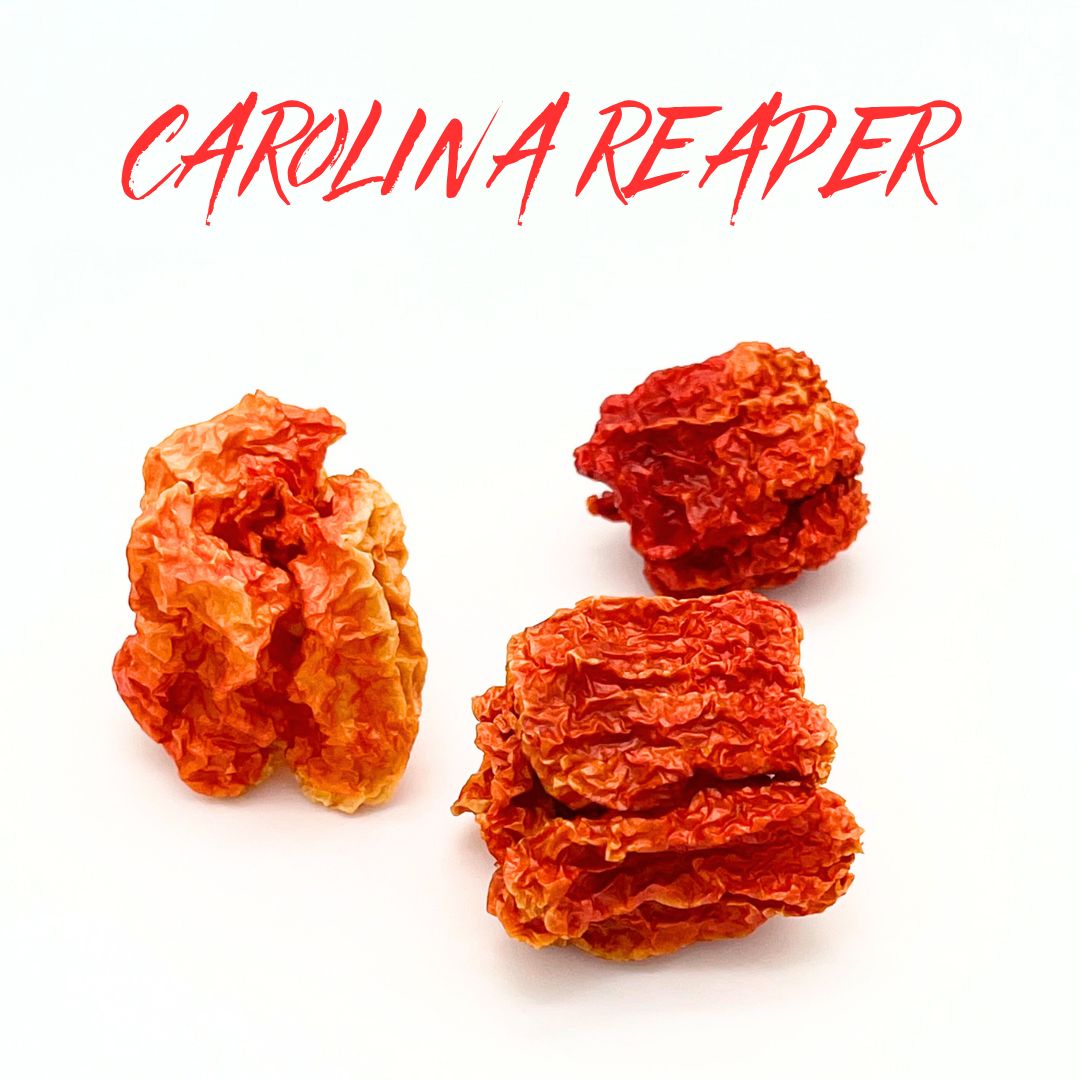 Chili Carolina Reaper - Each