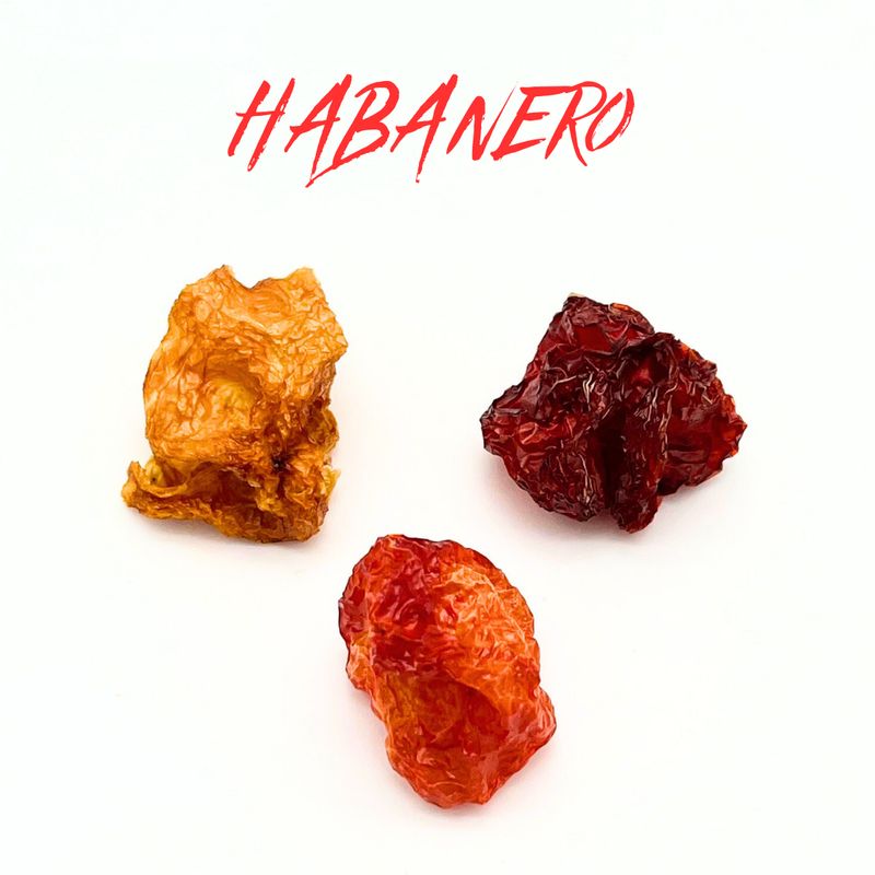 Chili Habanero - Each