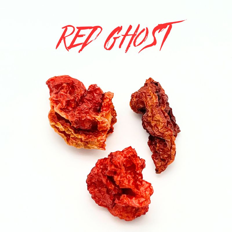 Chili Ghost Pepper - Each
