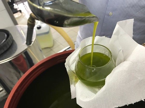Chilean Picual (Medium EVOO) - 200ML