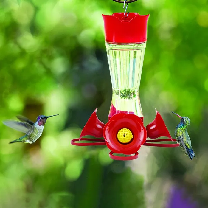 Quality Wild Bird Products | The Backyard Wildbird & Nature
