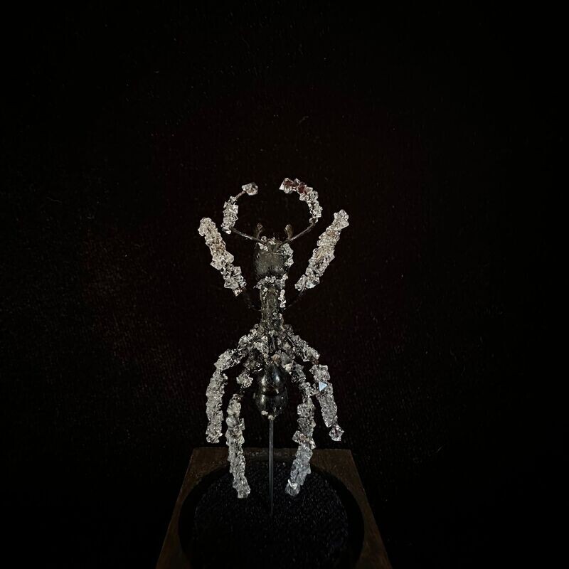 Bullet Ant with Clear Crystals