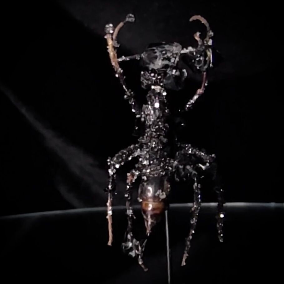 Bullet Ant with Black Crystals