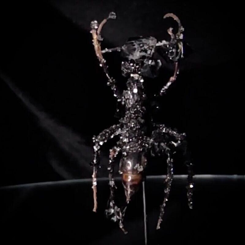 Bullet Ant with Black Crystals