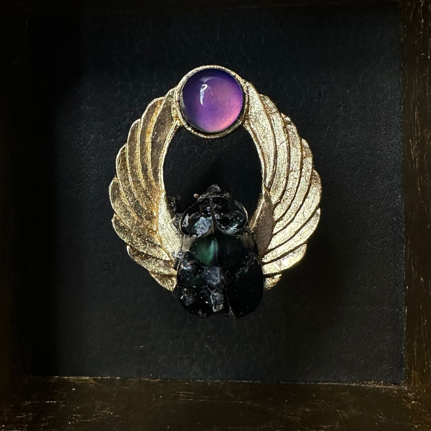 Scarab with Gold Wings