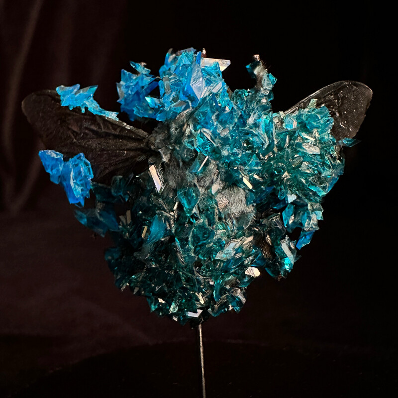 Blue Carpenter Bee with Blue Crystals