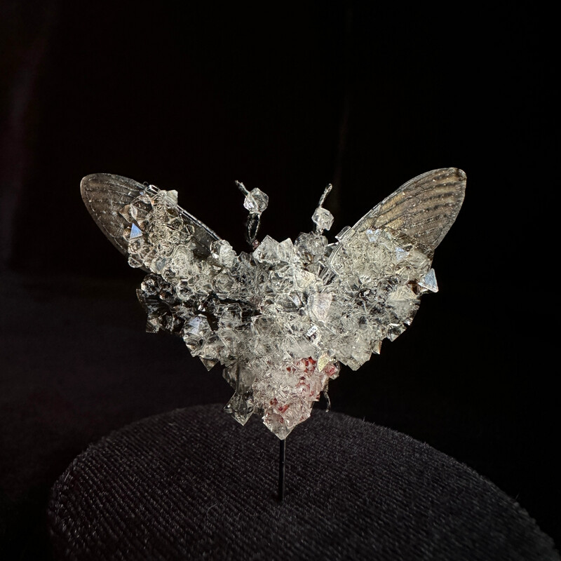 Red Devil Cicada with Clear Crystals