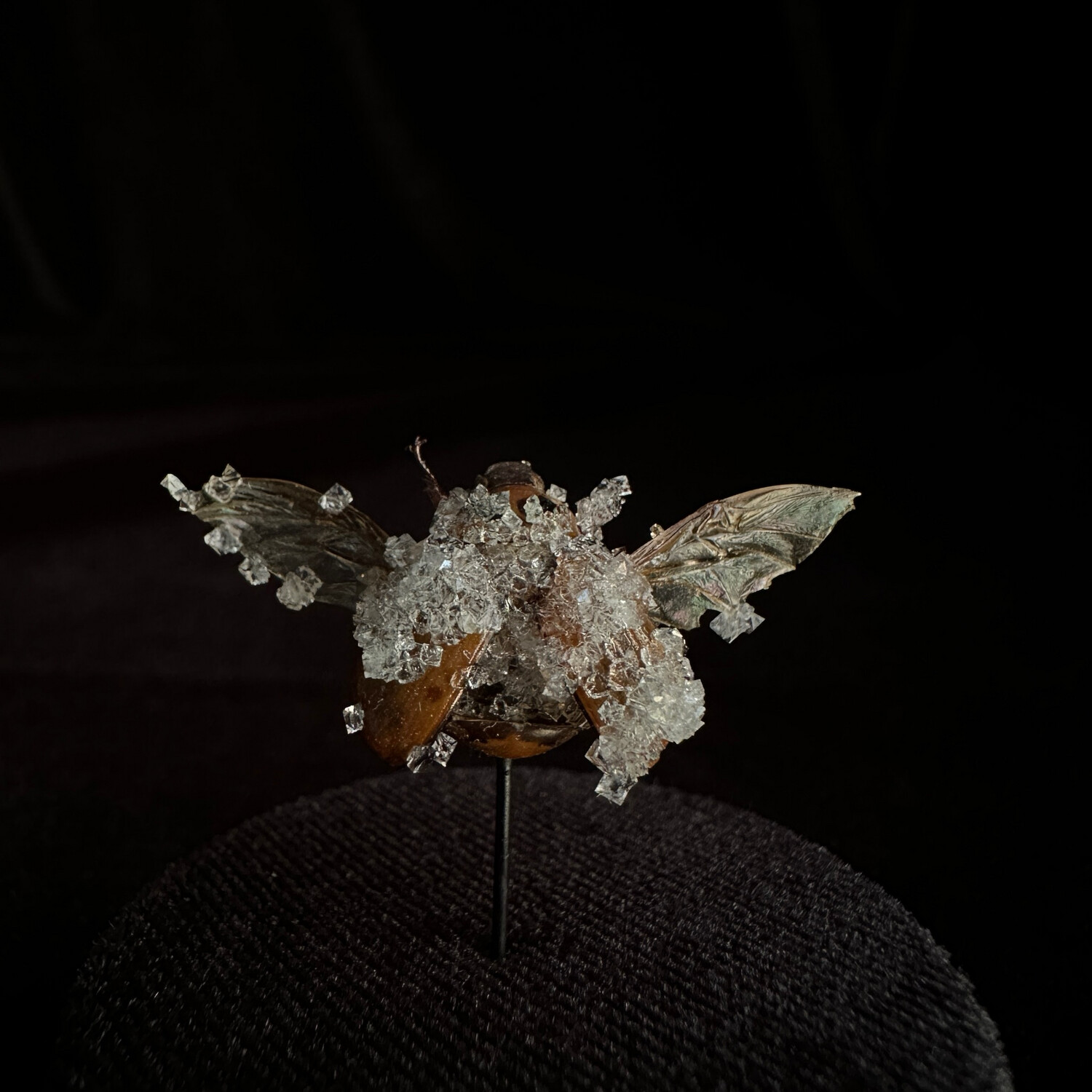 California June Bug with Clear Crystals