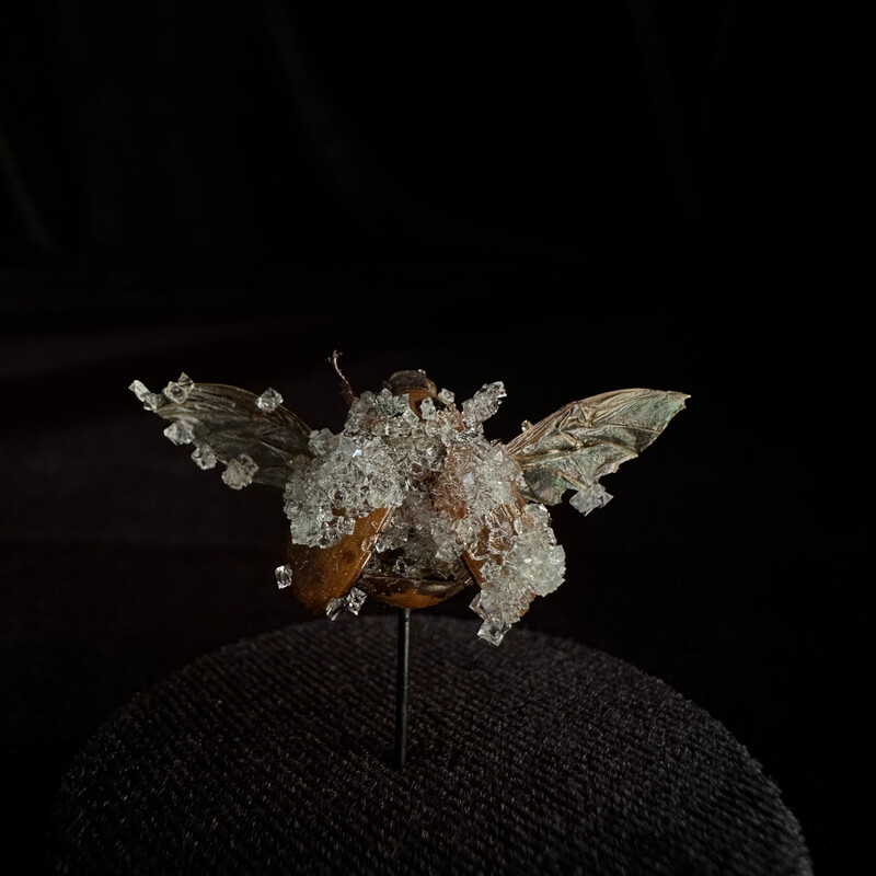 California June Bug with Clear Crystals