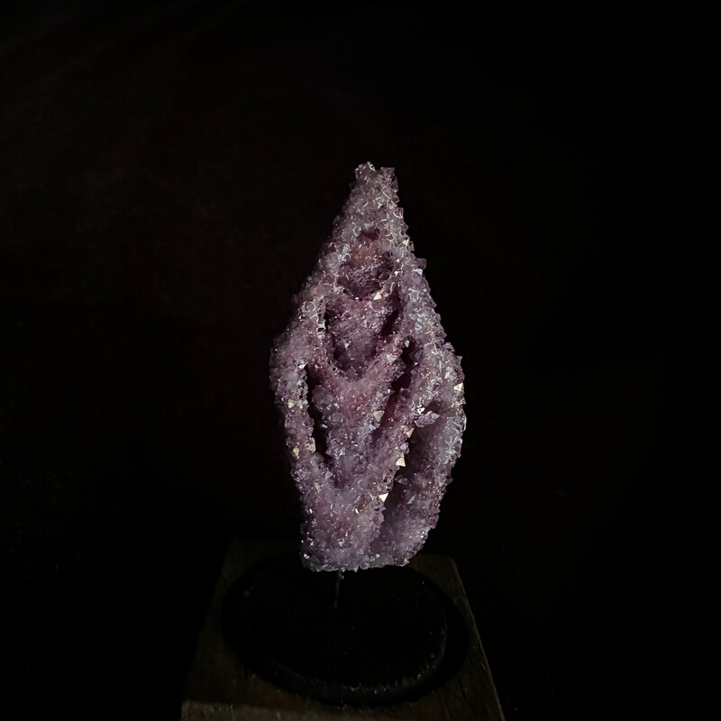 Vexillum Shell in Lavender Crystals