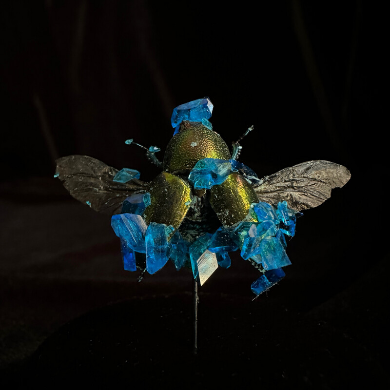 Mt. Arfak Stag Beetle with Blue Crystals
